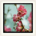 Photographic Print 38x22 H4625