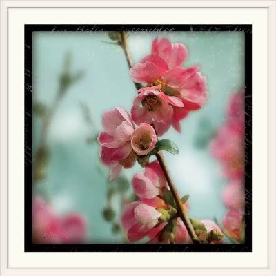 Photographic Print 38x22 H4625