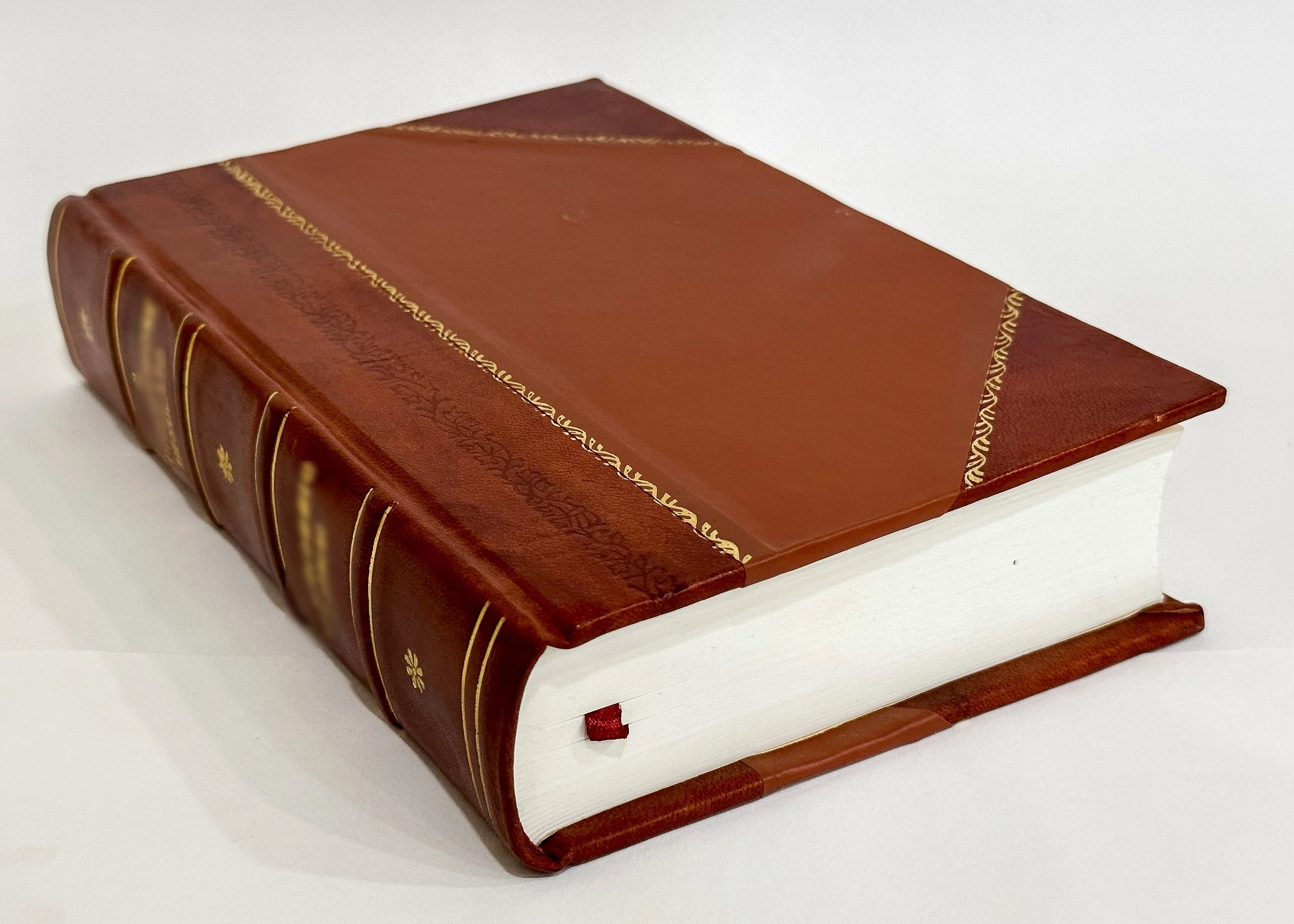 Leather Bound Book G640563