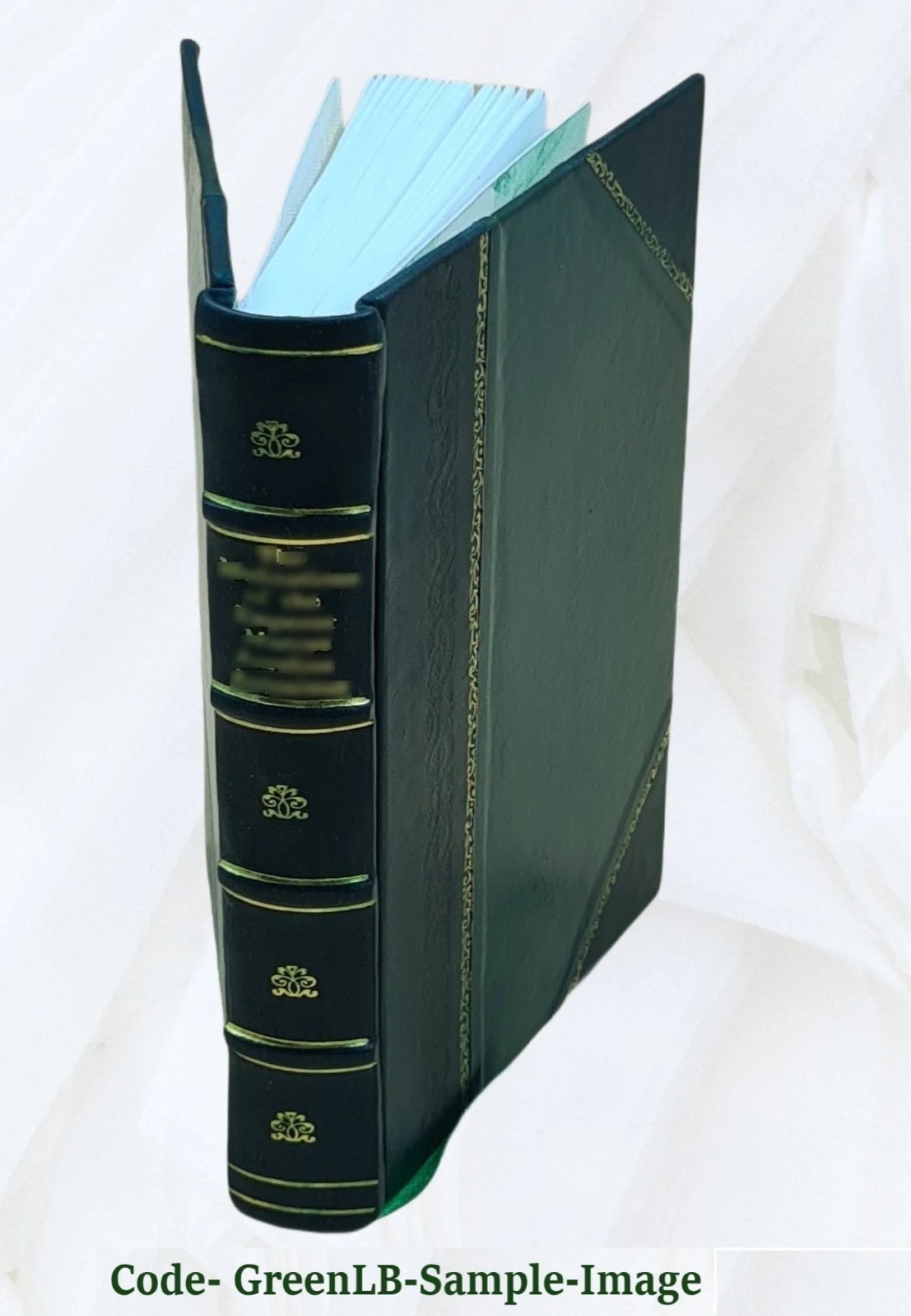 Leather Bound Book Y7596