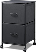 Black 2 Drawer Mobile File Cabinet Y4384
