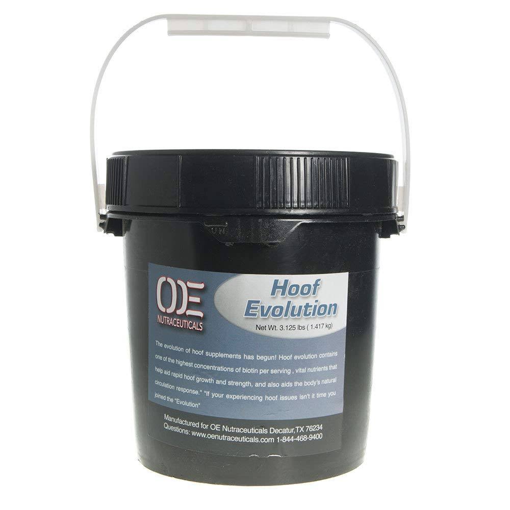 Hoof Evolution L653648