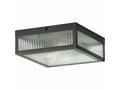 Black 2 Light Flush Mount Square M73049
