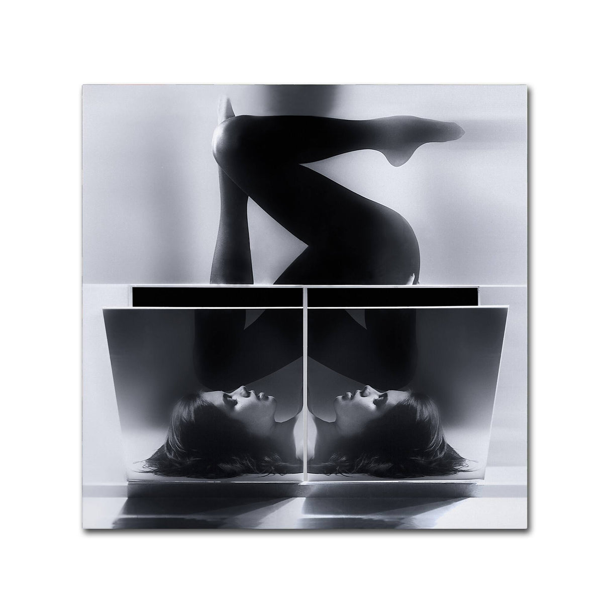 Canvas Art E563751