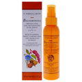 4.2 oz Leave-In Hair Spray N2392