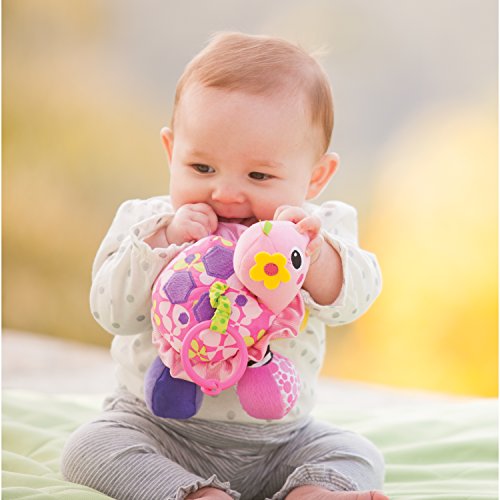 Topsy Turtle Mirror Pal U815