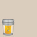 Exterior Paint (5-Gallon) S61529