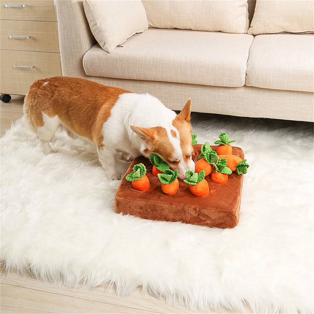 5 Pack Dog Squeaky Toys Plush Fruits Snacks Vegetables Dog Toys U592