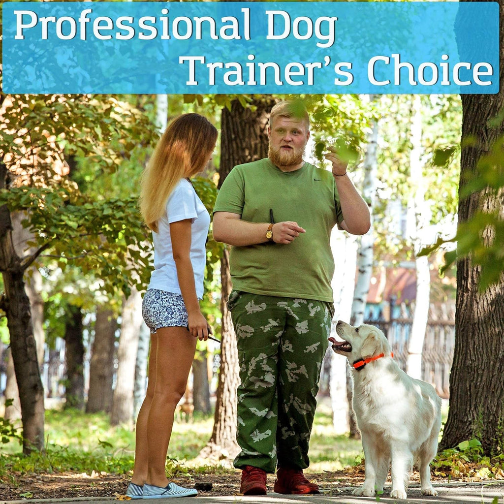 Rechargeable Waterproof Dog Training Collar Pack of 2 G64126