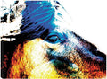 Canvas Art 32x24 P3362