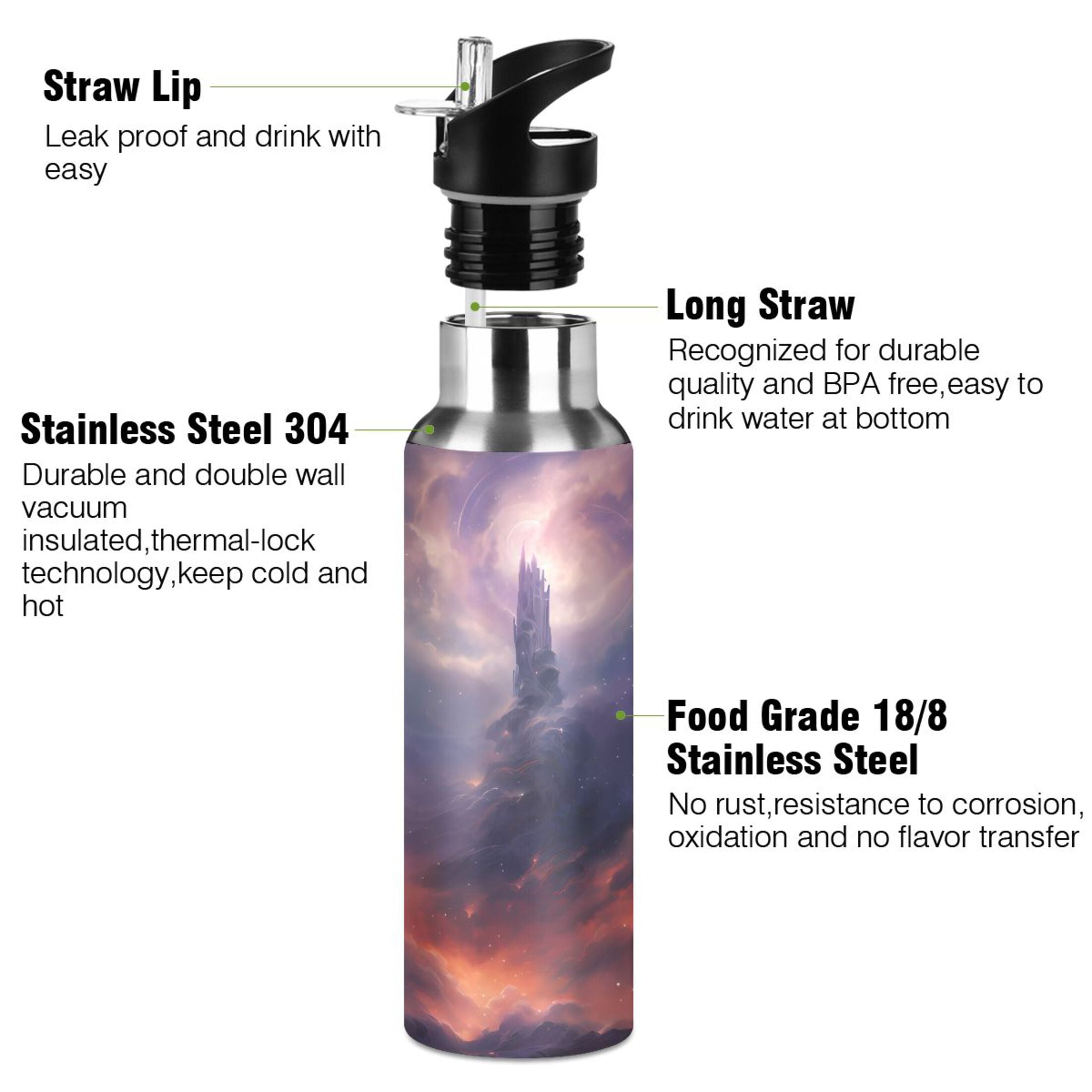 Stainless Steel Insulated Water Bottle with Straw Lid E704407