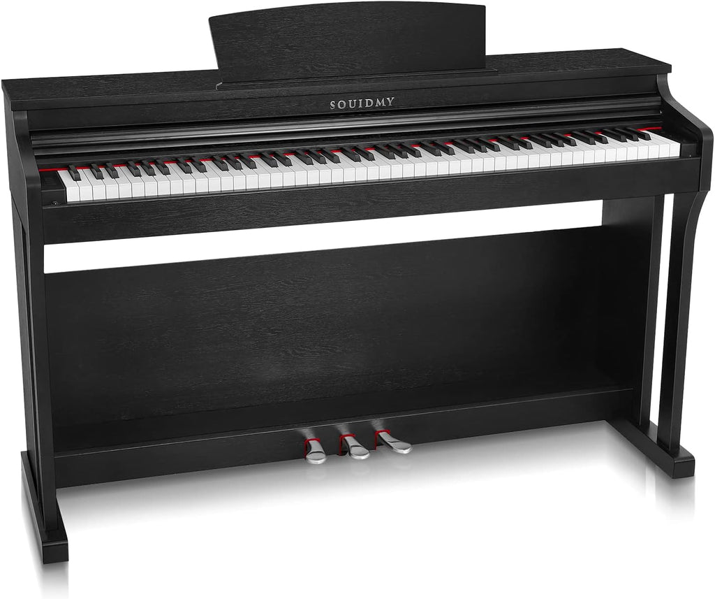 88-Key Weighted Hammer-Action Digital Piano H384
