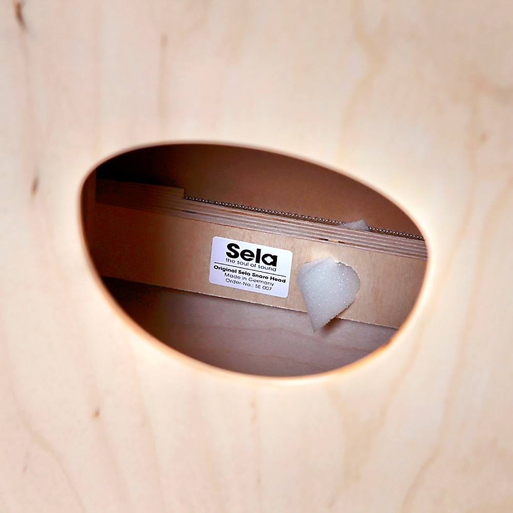 Blue Cajon Q22592