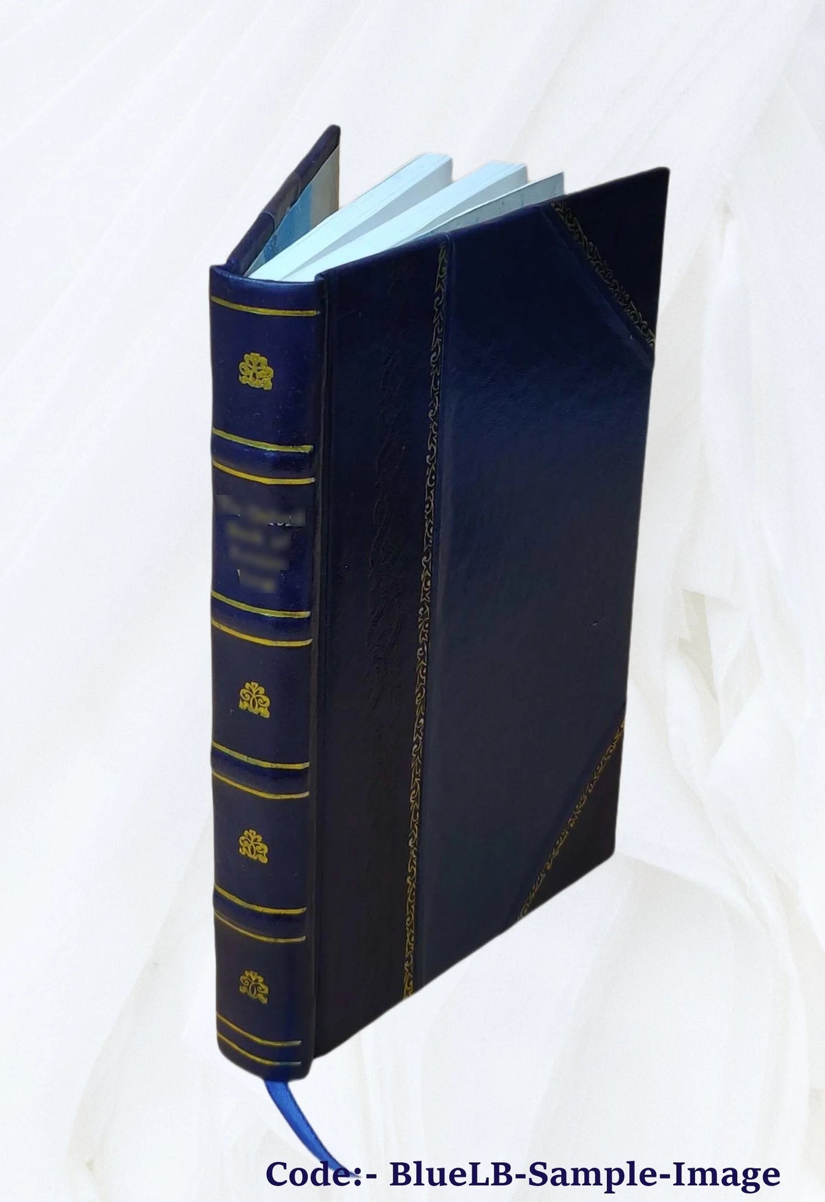 Leather Bound Book Y7596