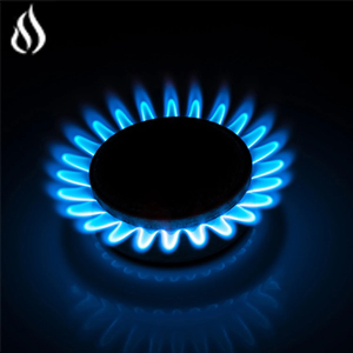 30 Inch Propane Gas Cooktop, 5 Burner Built-in Stainless Steel Gas Stove Top L653427
