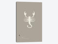 Scorpio Canvas Art T856