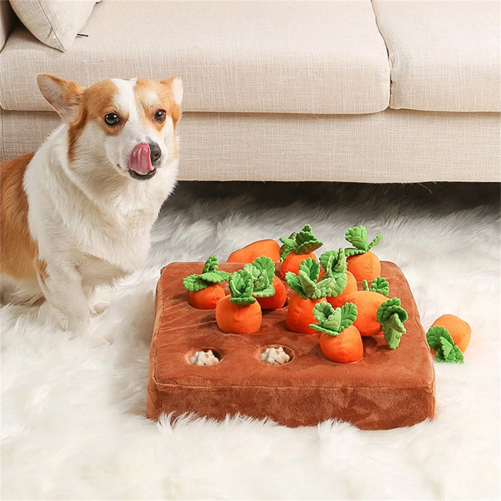 5 Pack Dog Squeaky Toys Plush Fruits Snacks Vegetables Dog Toys U592