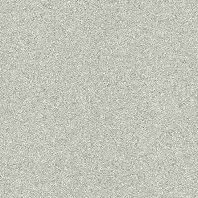 24x22 Peel and Stick Carpet Tile A102