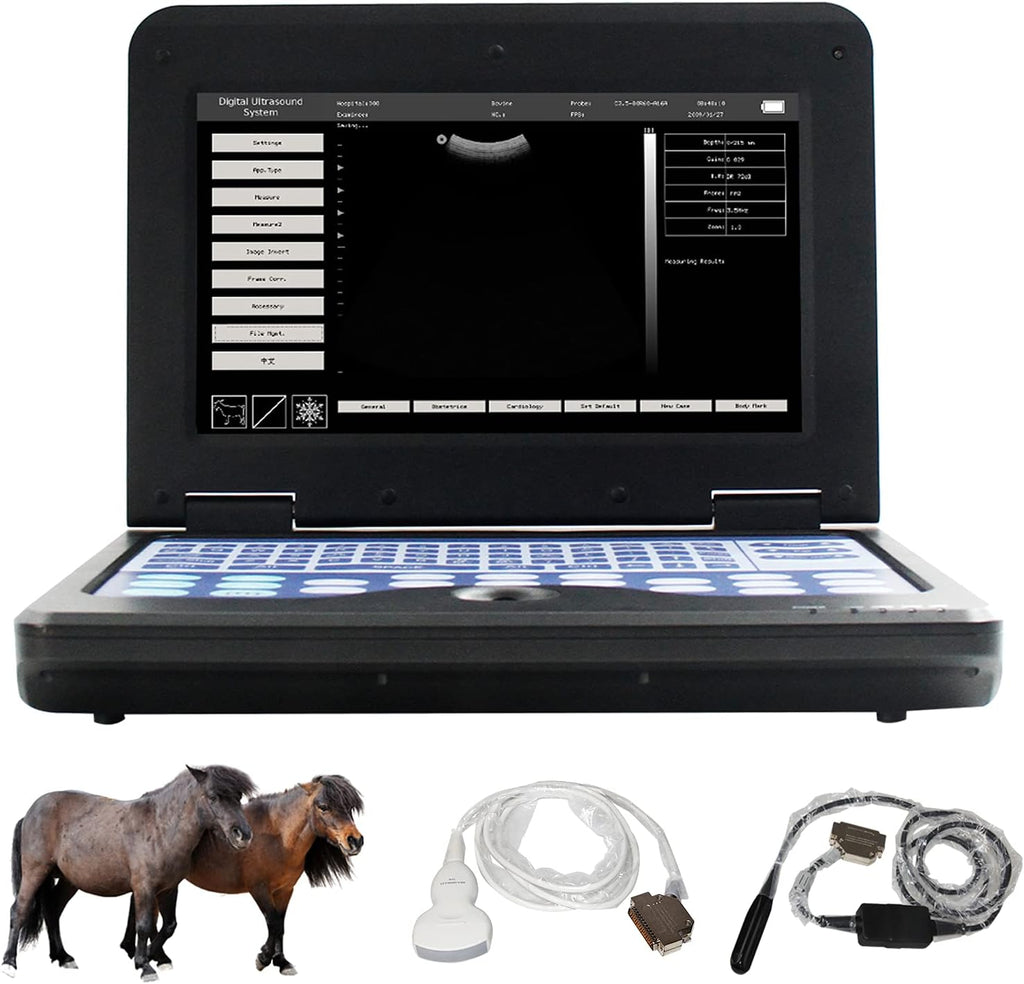 Portable Laptop B-Ultra Sound Scanner Machine with Micro-Convex & Rectal Linear Probe H33235