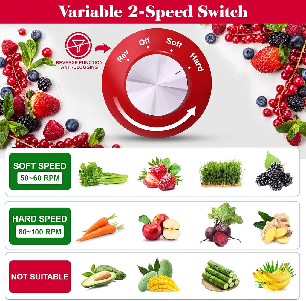 Slow Masticating Juicer with 2 Speed and Reverse Function C60206