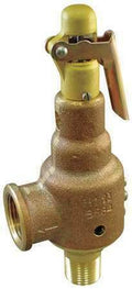 Safety Relief Valve, 2 x 2-1/2 In, 150 PSI N37277