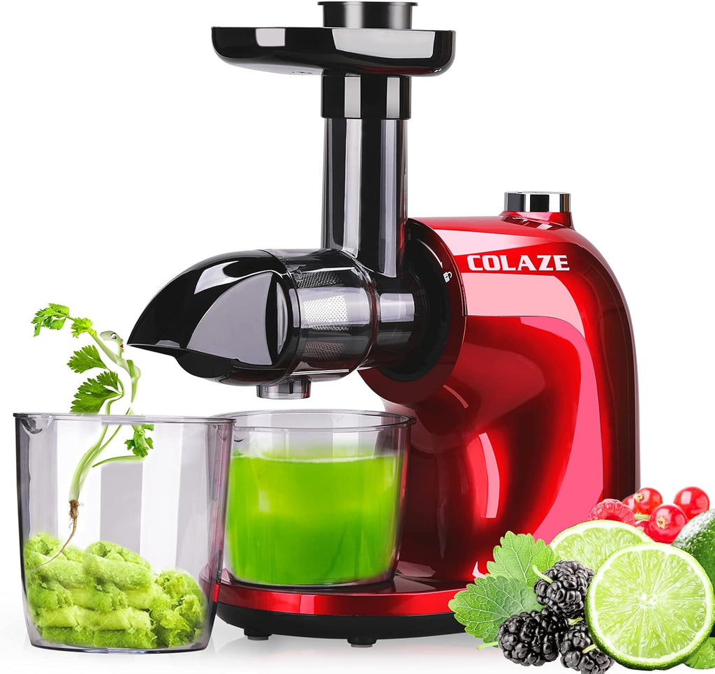 Slow Masticating Juicer with 2 Speed and Reverse Function C60206