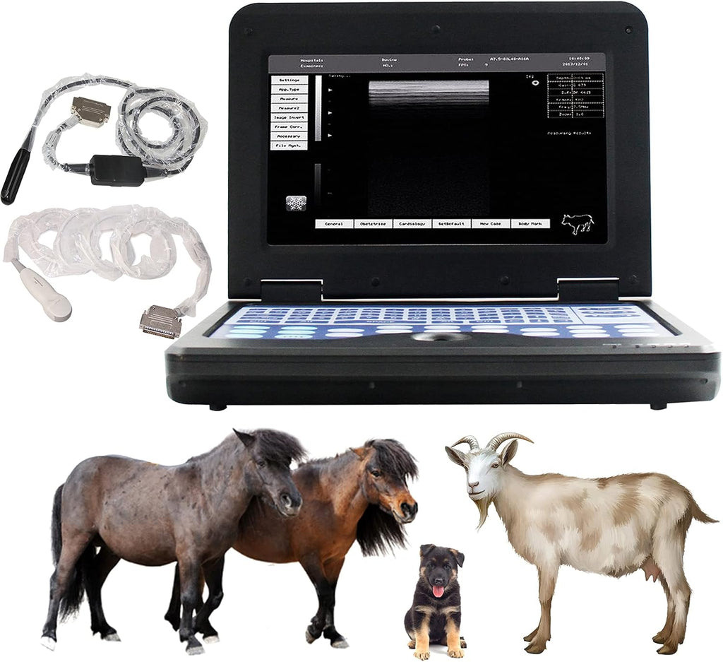 Portable Laptop B-Ultra Sound Scanner Machine with Micro-Convex & Rectal Linear Probe H33235