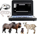 Portable Laptop B-Ultra Sound Scanner Machine with Micro-Convex & Rectal Linear Probe H33235