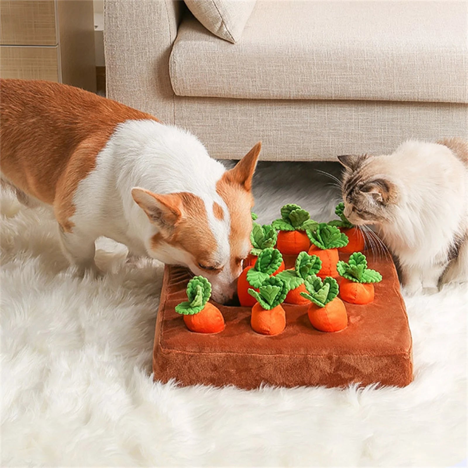 5 Pack Dog Squeaky Toys Plush Fruits Snacks Vegetables Dog Toys U592