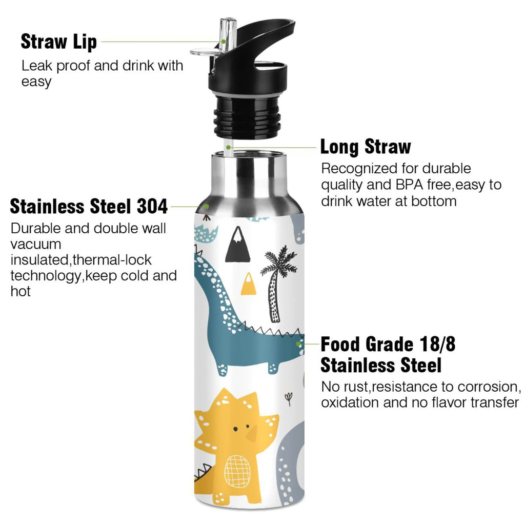 Stainless Steel Water Bottle with Straw Lid Vacuum Insulated 20 OZ Y499