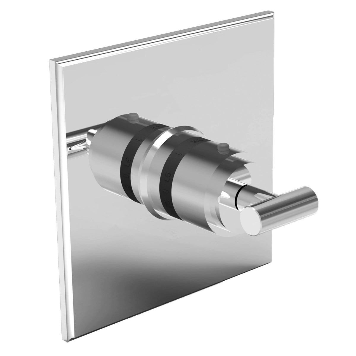 Thermostatic Trim Plate with Handle Polished Nickel E46755