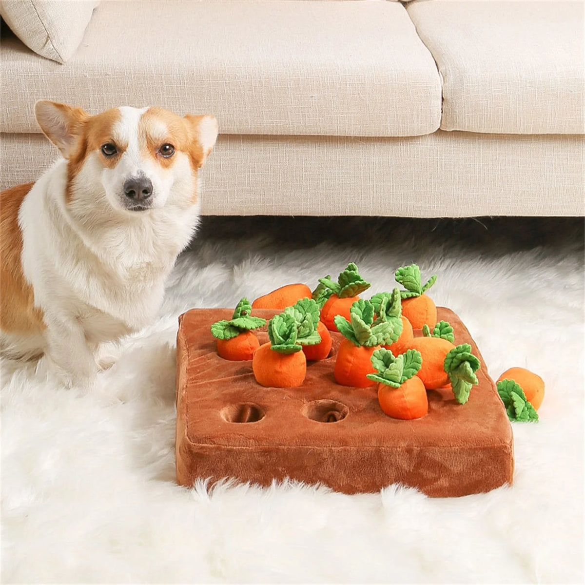 5 Pack Dog Squeaky Toys Plush Fruits Snacks Vegetables Dog Toys U592