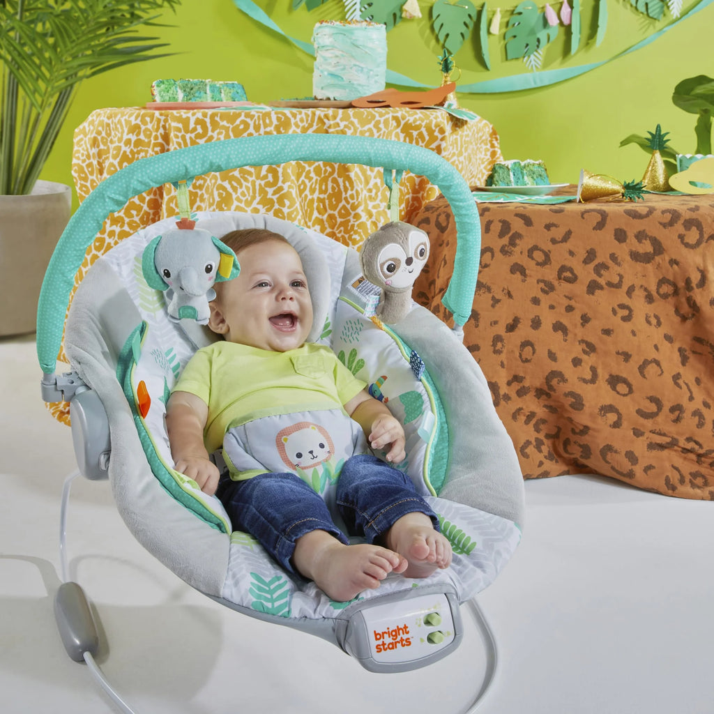 Comfy Baby Bouncer with Vibrating Infant Seat Y538