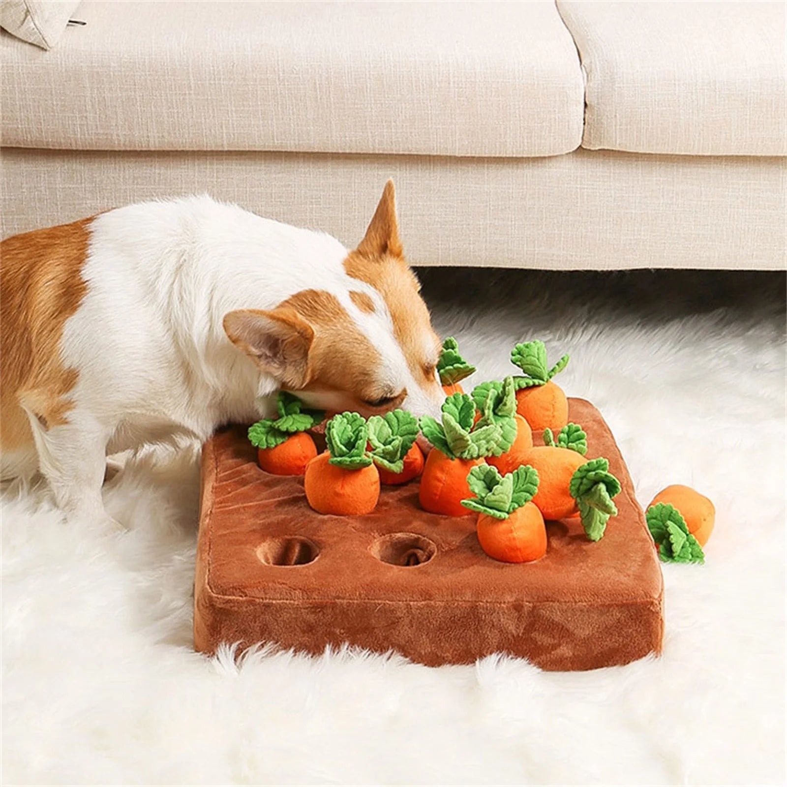 5 Pack Dog Squeaky Toys Plush Fruits Snacks Vegetables Dog Toys U592