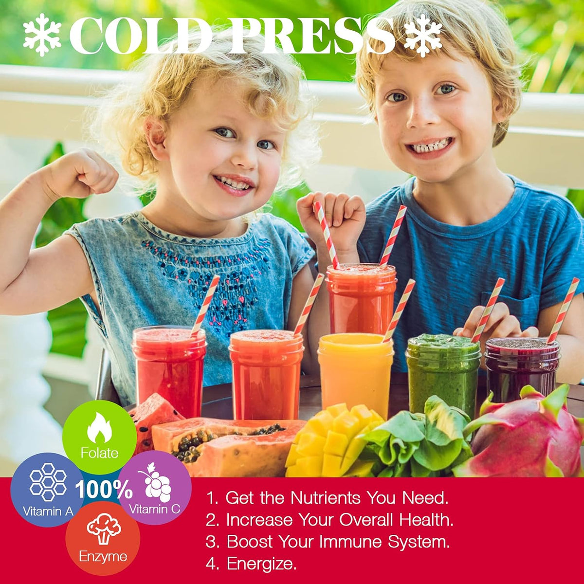 Slow Masticating Juicer with 2 Speed and Reverse Function C60206