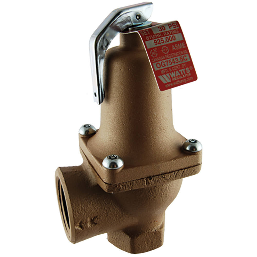 Iron Body Relief Valve with Lever Set C94186