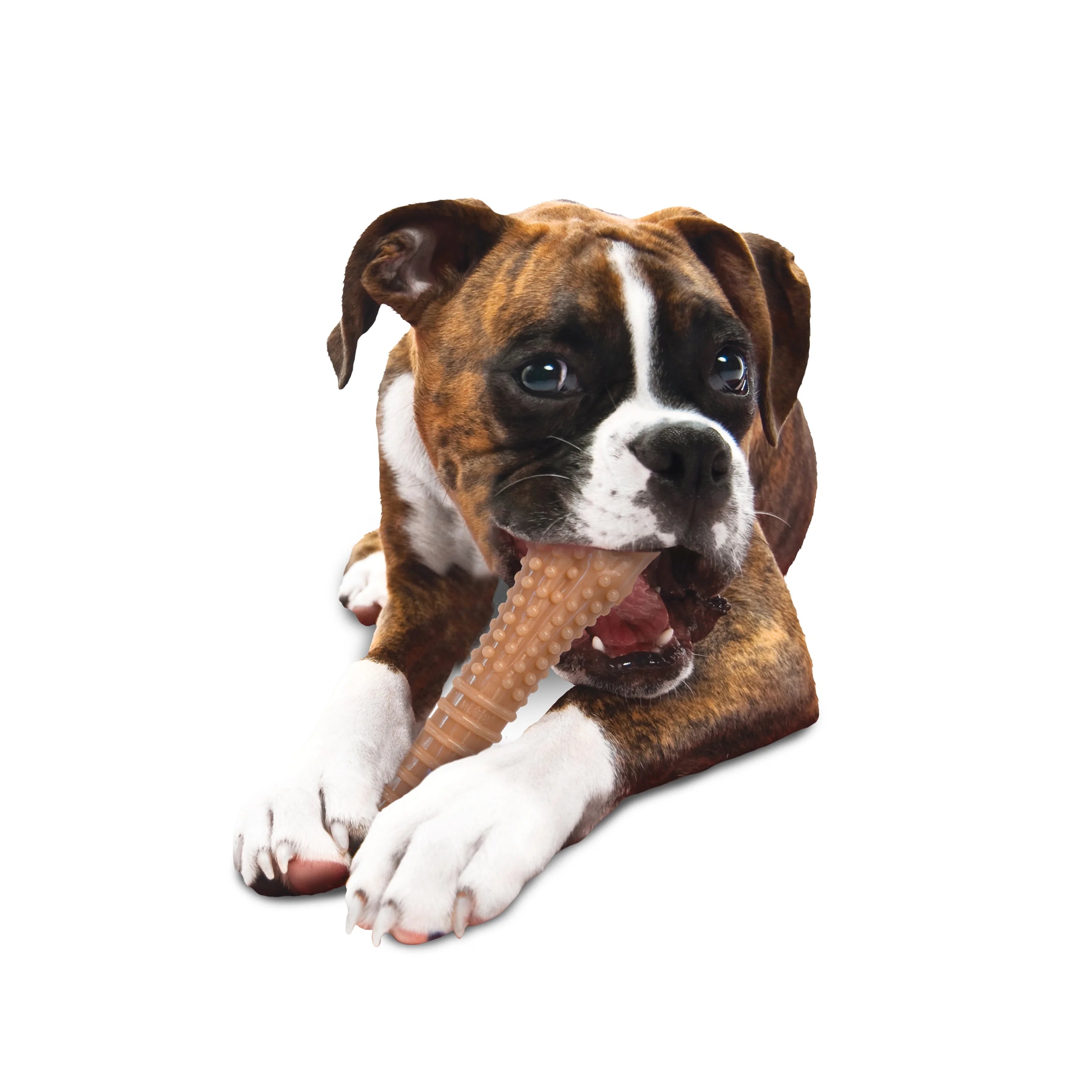 Power Chew Dog Chew Toy T838